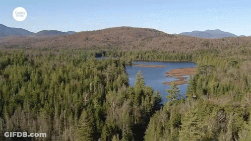 An Aerial View Of A Lake Surrounded By Trees And Mountains With A Sticker That Says Healthy Living GIF