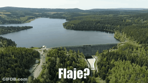 An Aerial View Of A Lake Surrounded By Trees With The Words Flaje Written Below It GIF