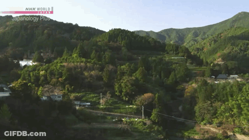 An Aerial View Of A Lush Green Hillside With Nhk World Japanology Plus In The Upper Right Corner GIF