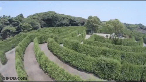 An Aerial View Of A Maze With Trees And Bushes GIF