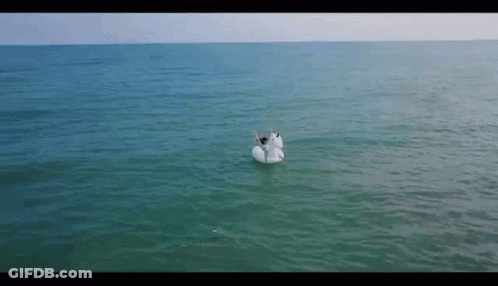 An Aerial View Of A Person On A Unicorn Float In The Ocean GIF