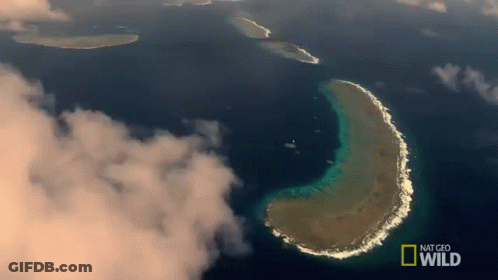 An Aerial View Of A Small Island In The Middle Of A Body Of Water With The Words National Geographic Wild On The Bottom GIF