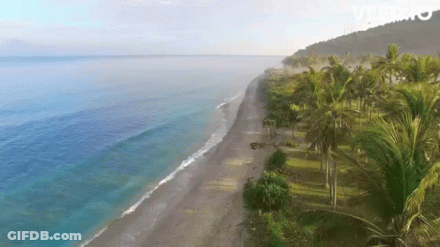 An Aerial View Of A Tropical Beach With Palm Trees And Mountains In The Background GIF