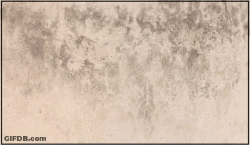 An Air Purifier For Mold Is Advertised By Airdog Silicon Valley Air Experts GIF