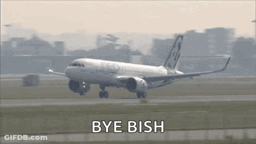 An Airplane Is Taking Off And The Words Bye Ish Are Written Below It GIF