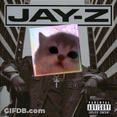 An Album Cover For Jay-Z With A Cat On It GIF