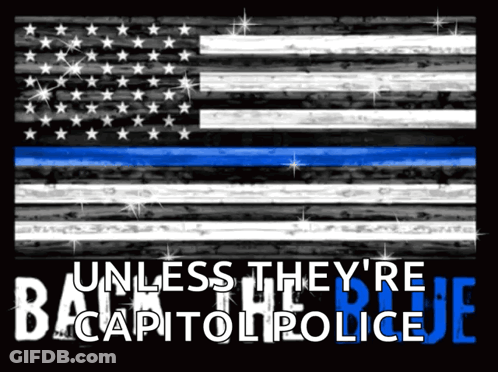 An American Flag With The Words Unless They 'Re Back Capitol Police On It GIF