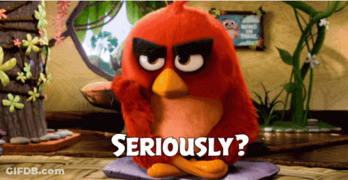 An Angry Bird Is Sitting On A Pillow With The Words Seriously Behind It GIF