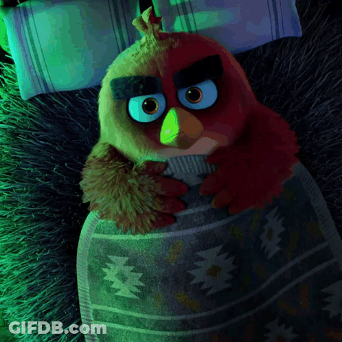 Angry Bird Wrapped In Blanket On Bed GIF