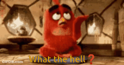 An Angry Bird Says What The Hell In A Room GIF