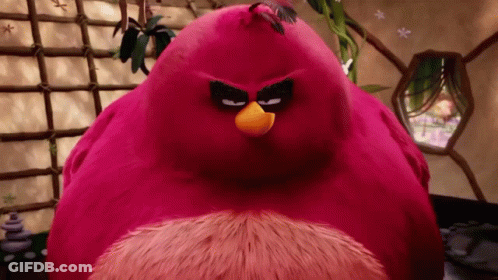 An Angry Bird With An Orange Beak And Black Eyes GIF