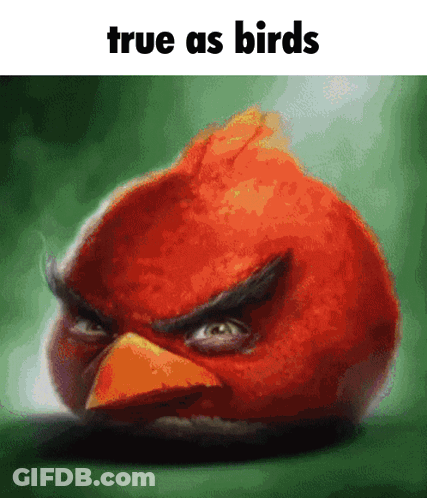 An Angry Bird With The Words True As Birds Below It GIF