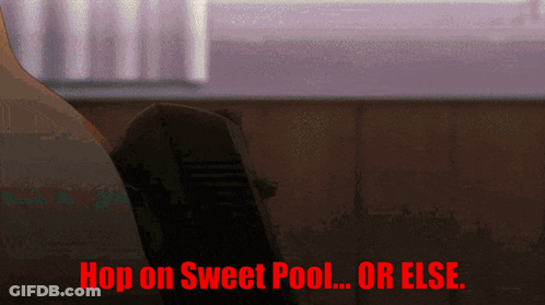 An Animated Image With The Words Hop On Sweet Pool Or Else GIF