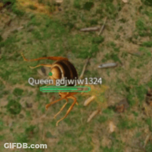 An Ant With Queen Gdjwjw1324 On It GIF
