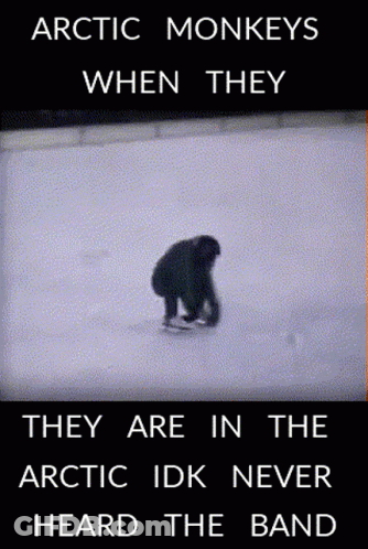An Arctic Monkeys When They Are In The Arctic Idk Never Heard The Band GIF