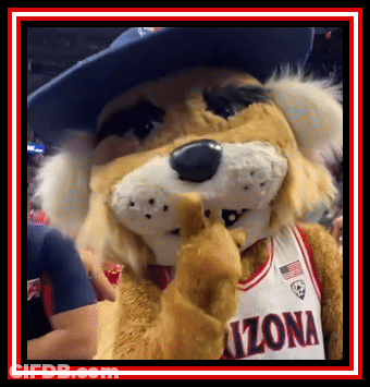 An Arizona Mascot Wearing A Cowboy Hat And A Jersey GIF