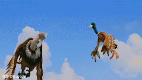 An Eagle And A Duck Flying In The Sky GIF