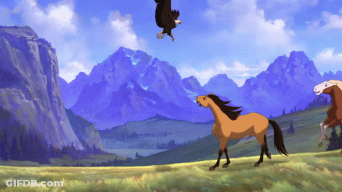 An Eagle Flies Over A Horse And Two Other Horses GIF