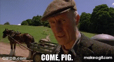 An Elderly Man In A Hat Is Standing In Front Of A Horse Drawn Cart . GIF