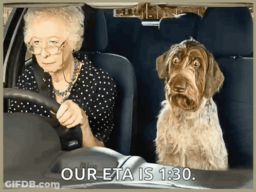 An Elderly Woman Is Driving A Car With A Dog In The Back Seat And The Caption Our Eta Is 1:30 GIF