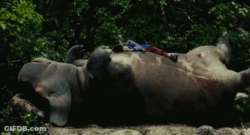An Elephant Laying On Its Back In The Woods With A Blue Shirt On Its Back GIF