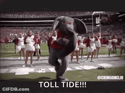 An Elephant Mascot Is Dancing On The Field With Cheerleaders . GIF