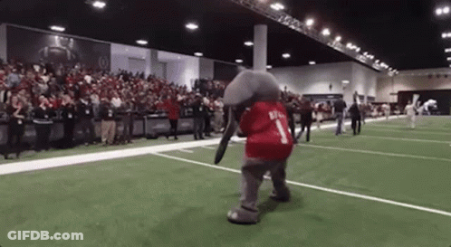 An Elephant Mascot Wearing A Red Shirt With The Number 1 On It Is Dancing On A Football Field . GIF