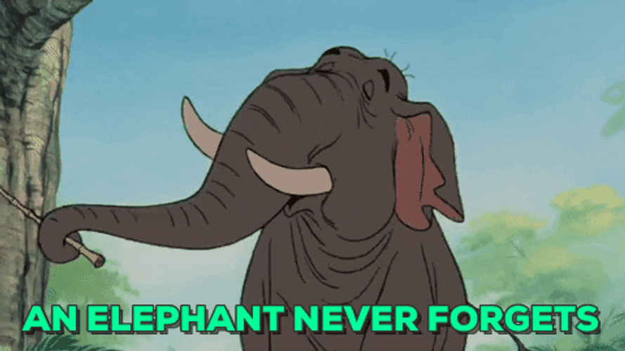 An Elephant Never Forgets GIF