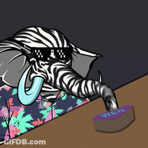 An Elephant Wearing Sunglasses And A Shirt That Says Tigers GIF