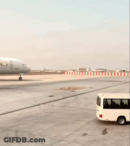 An Emirates Airplane Is Sitting On The Runway GIF