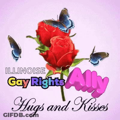 An Illinois Gay Rights Ally Hugs And Kisses Card GIF