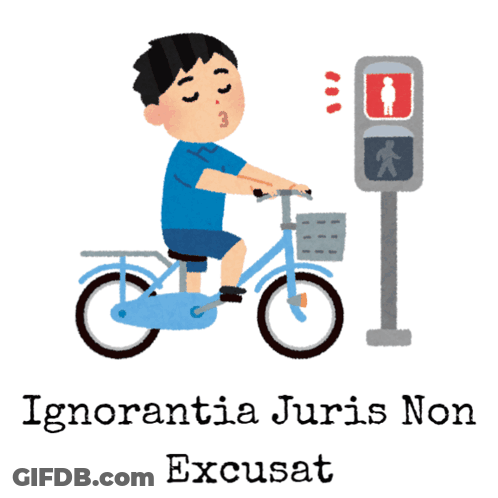 An Illustration Of A Boy On A Bike With The Words Ignorance Of Law Is No Excuse GIF