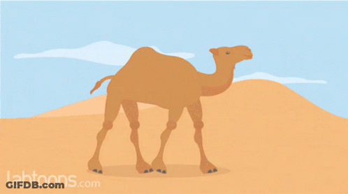 An Illustration Of A Camel In The Desert With Labtoons.com Written Below It GIF