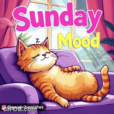 An Illustration Of A Cat Sleeping On A Couch With The Words Sunday Mood Below It GIF