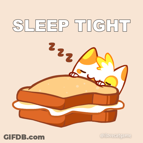 An Illustration Of A Cat Sleeping Under A Piece Of Toast With The Words Sleep Tight Above It GIF