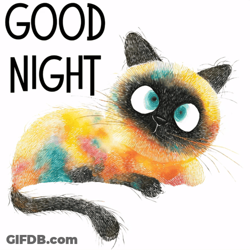An Illustration Of A Cat With The Words " Good Night " Below It GIF