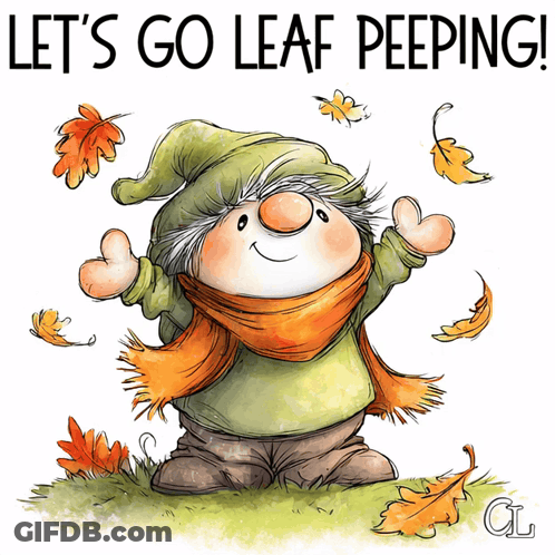 An Illustration Of A Gnome With The Words Let 'S Go Leaf Peeping On The Bottom GIF