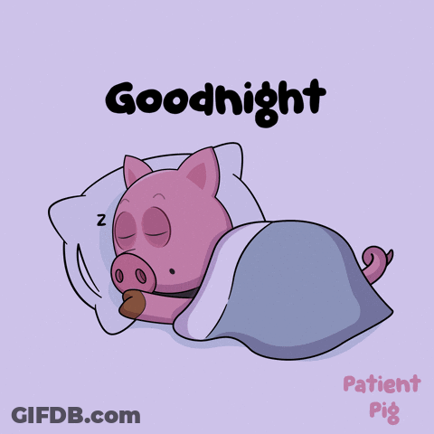 An Illustration Of A Pig Sleeping Under A Blanket With The Words Goodnight Patient Pig Below It GIF