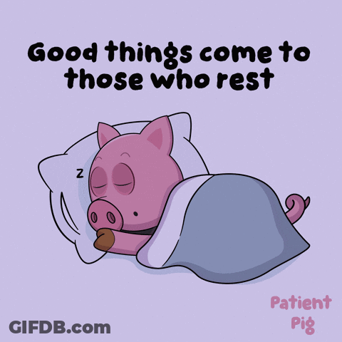 An Illustration Of A Pig Sleeping With The Words Good Things Come To Those Who Rest Below It GIF