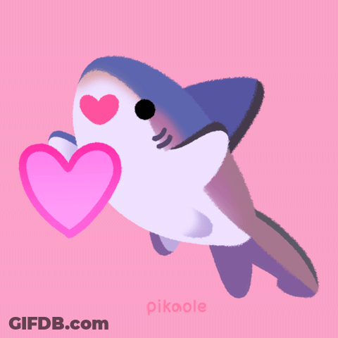 An Illustration Of A Shark With A Heart In Its Mouth And The Name Pikaole Below It GIF