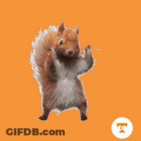 An Illustration Of A Squirrel With The Letter T In The Circle Below It GIF