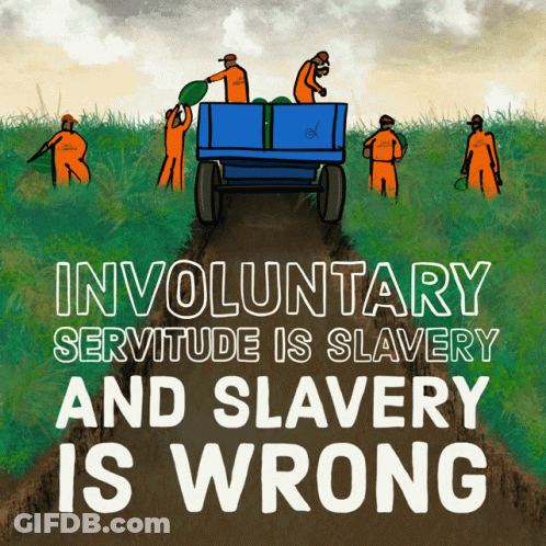 An Involuntary Servitude Is Slavery And Slavery Is Wrong GIF