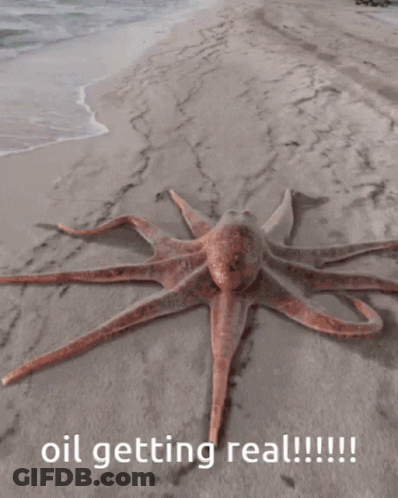 An Octopus Is Laying On The Beach With The Words Oil Getting Real GIF