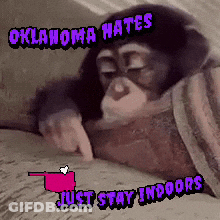 An Oklahoma Hates Just Stay Indoors Monkey GIF