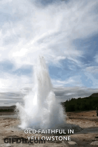 An Old Faithful In Yellowstone Poster With A Geyser In The Background GIF