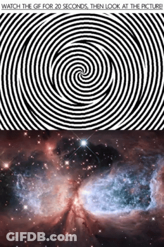 Optical Illusion Gif Then Look At Picture GIF
