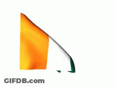 An Orange And Green Flag Are Waving In The Wind On A White Background GIF