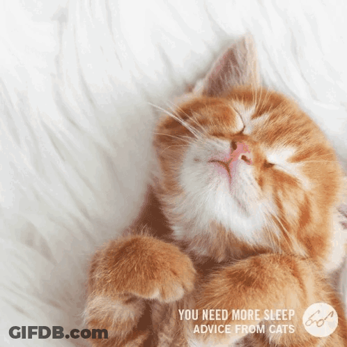An Orange And White Cat Sleeping On A White Blanket With The Words You Need More Sleep Advice From Cats Below It GIF