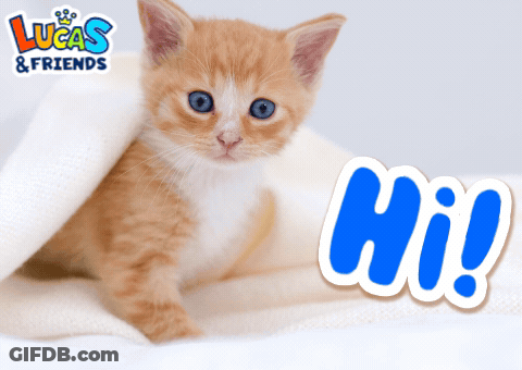 An Orange And White Kitten Is Laying On A White Blanket Next To A Blue Hi Sign GIF
