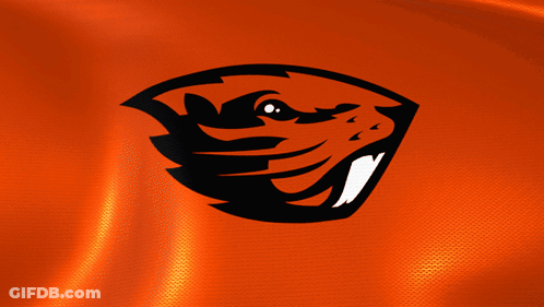 An Orange Background With A Black And White Beaver Head GIF